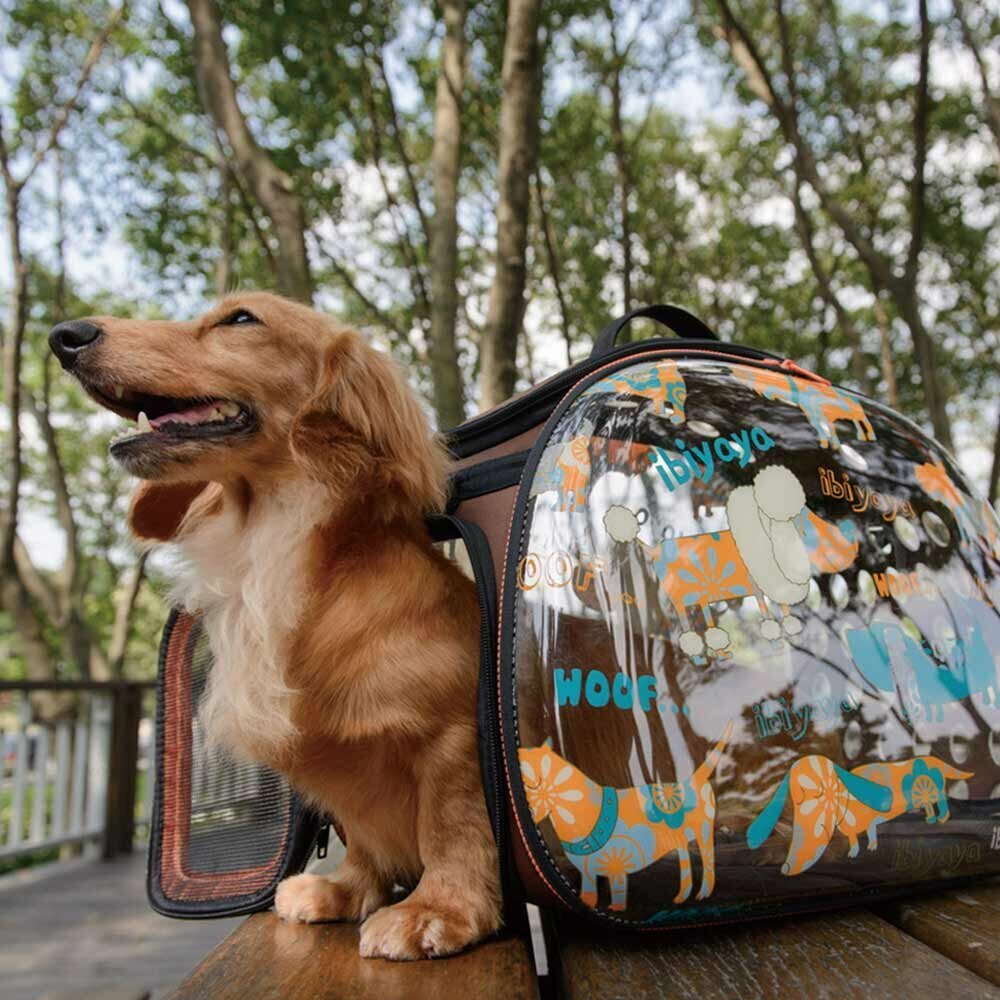 Atraktivna in moderna torba za pse
