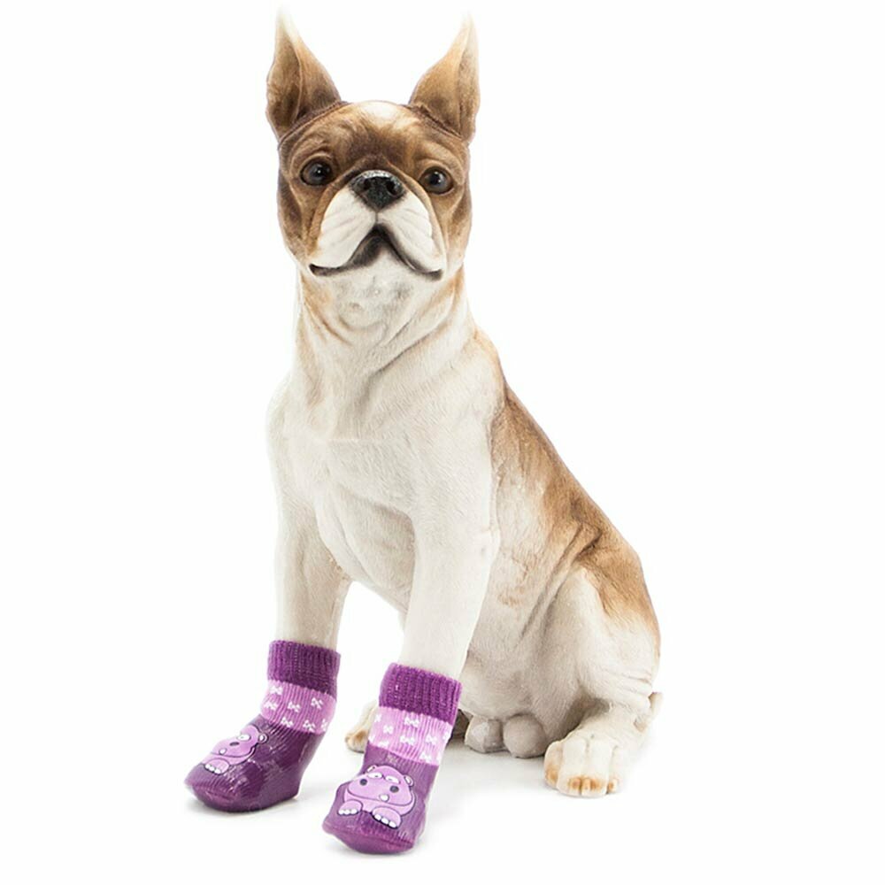 Čevlji za pse - vijolična barva