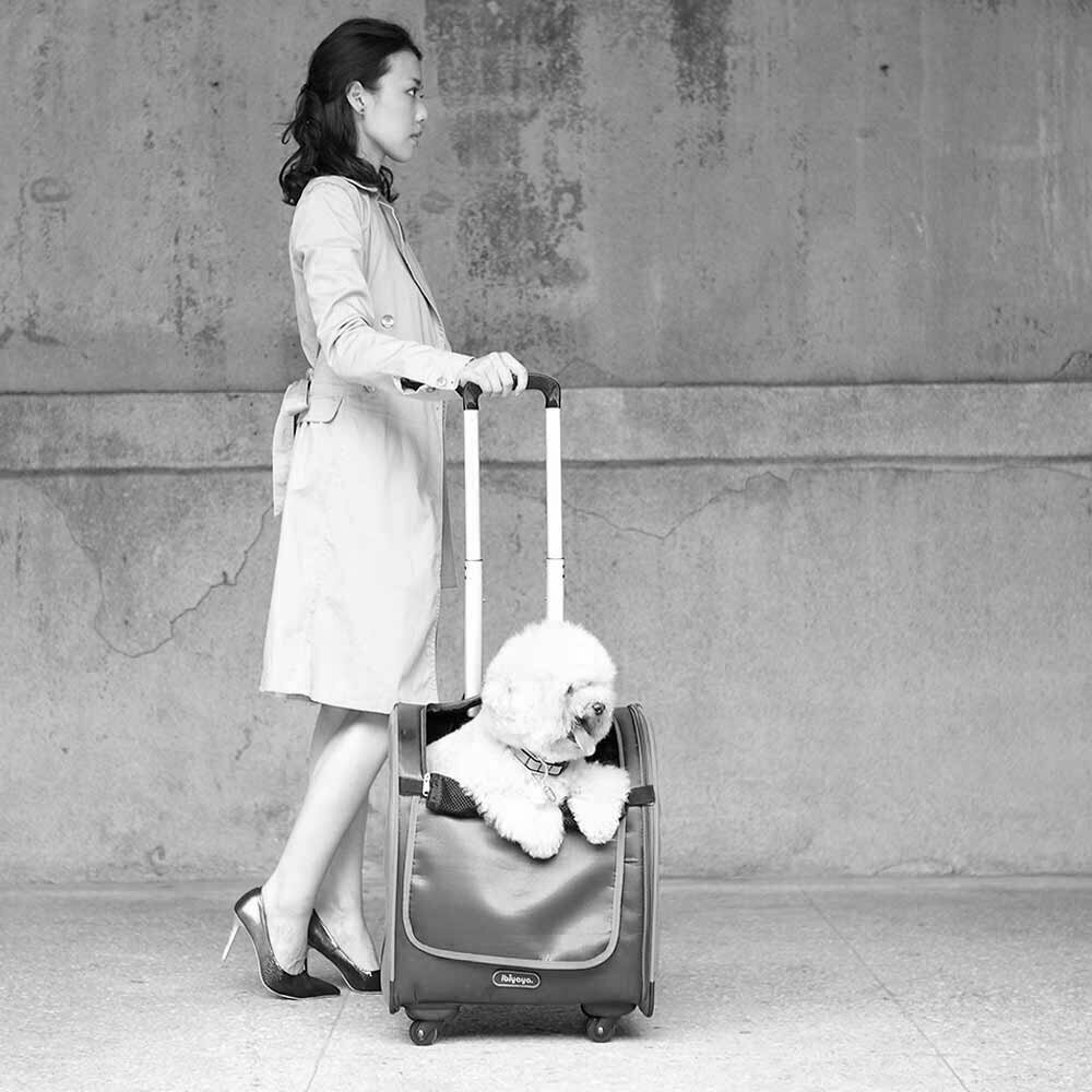Kovček s kolesi za pse