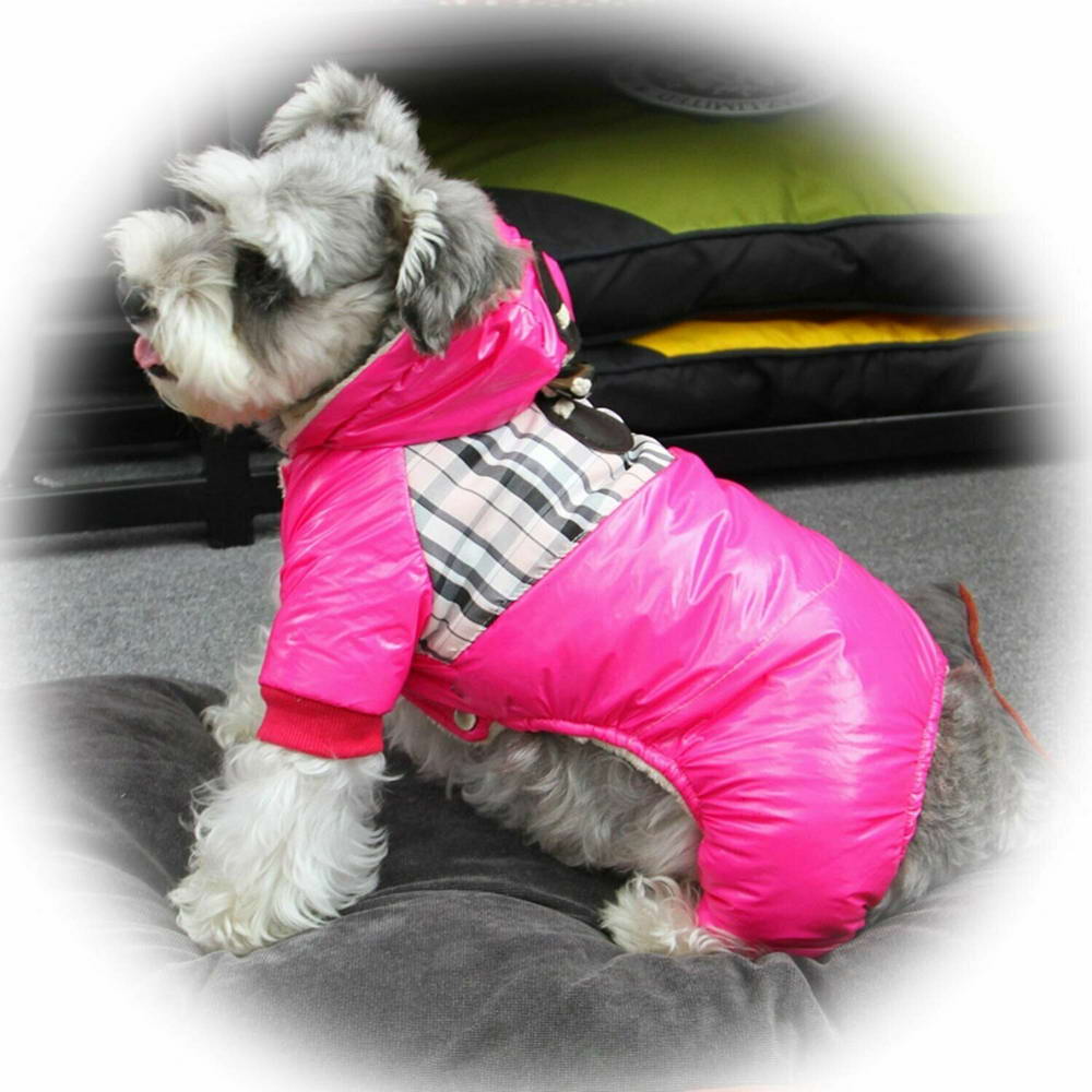 Zimski kombinezon za pse "Burberry Pink" - rožnata barva, kapuca z zapenjanjem na hrbtnem delu