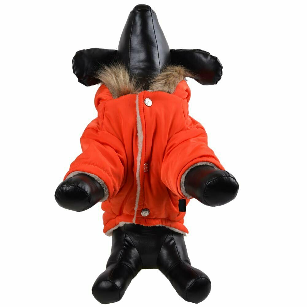GogiPet zimski plašč za psa "Harley" - oranžna barva, zaoenjanje s pritiskači