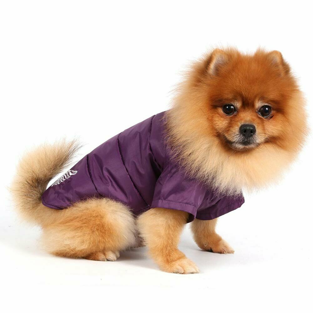 Zimska bunda za pse - lila - Oblačila za pse