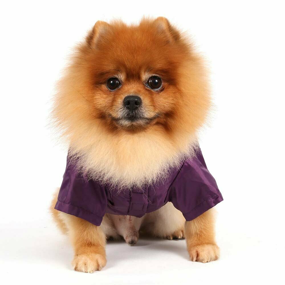 DoggyDolly W117 - Zimska bunda za pse - lila - Oblačila za pse