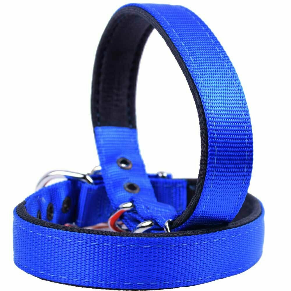Podložena GogiPet® ovratnica za psa - modra barva