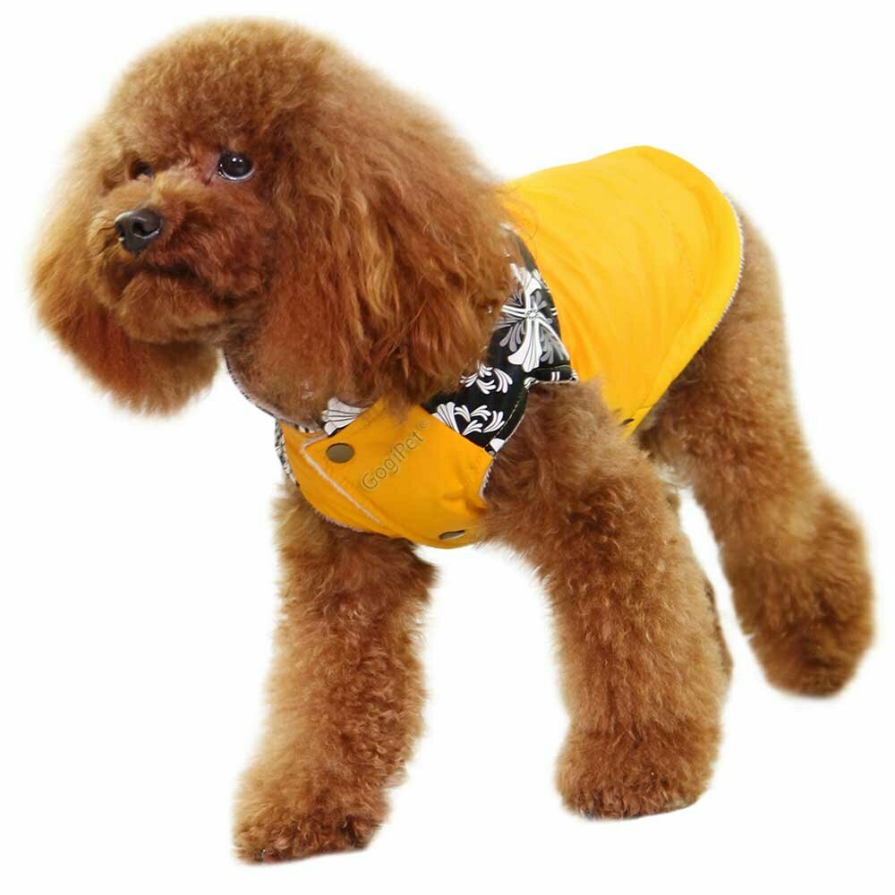 Topla, rumena jakna za pse "Nancy"