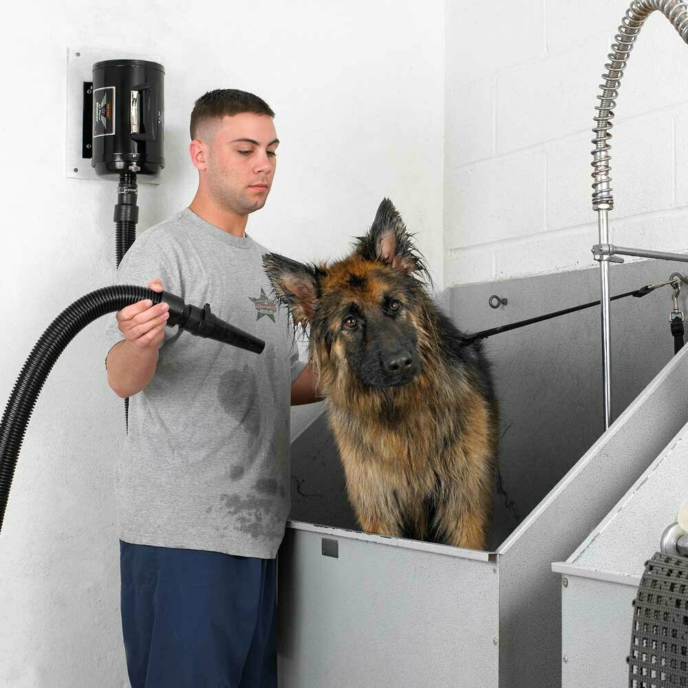 Izpihovanje odpadajoče dlake in podlanke - Metro Air Force Blaster profesionalni sušilnik za pse z nastavljivim izpihom zraka