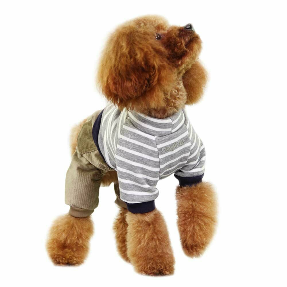GogiPet črtast pulover z žametnimi hlačami za psa