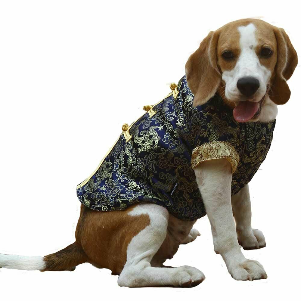 Pasja jakna "Chinese blue" DoggyDolly oblačila za pse
