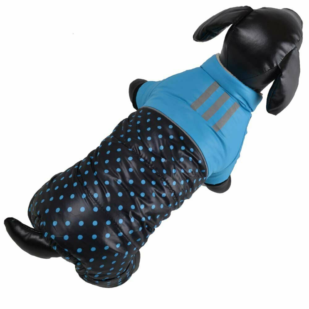 Zimski kombinezon za psa s pikami in odsevnimi trakovi - modra barva