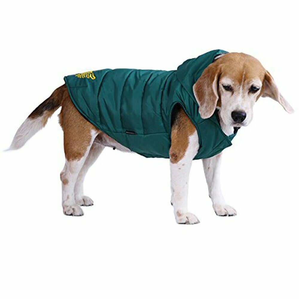 Krila DDY zimska jakna za pse - zelena DoggyDolly - Oblačila za pse