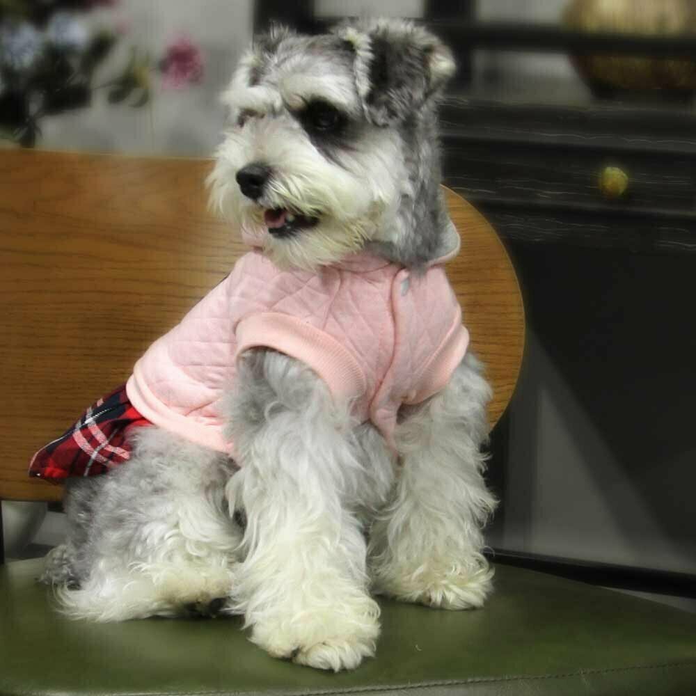 Zimska obleka za pse "Mateja" - rožnata barva, udobno nošenje