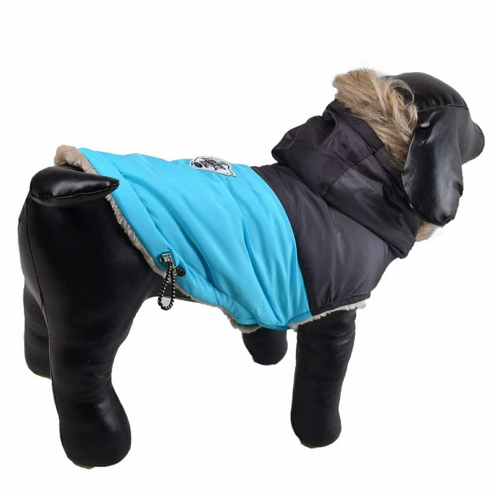 Zimsko oblačilo za psa "Giorgia" - modra barva
