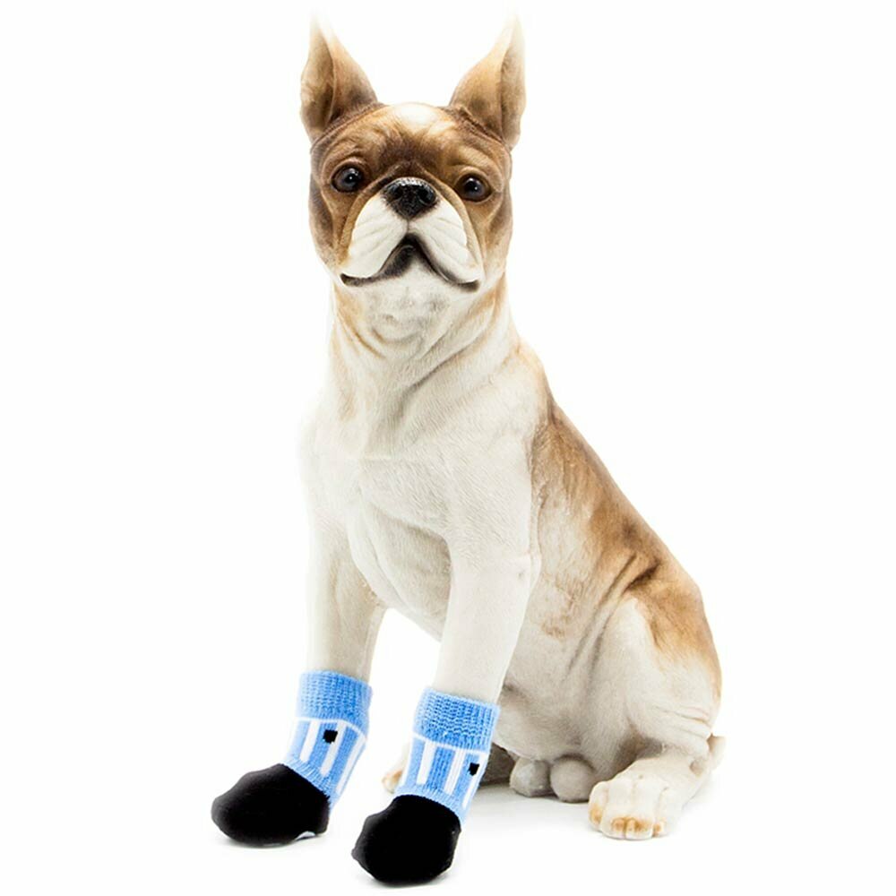 Moderne nogavice za psa GogiPet