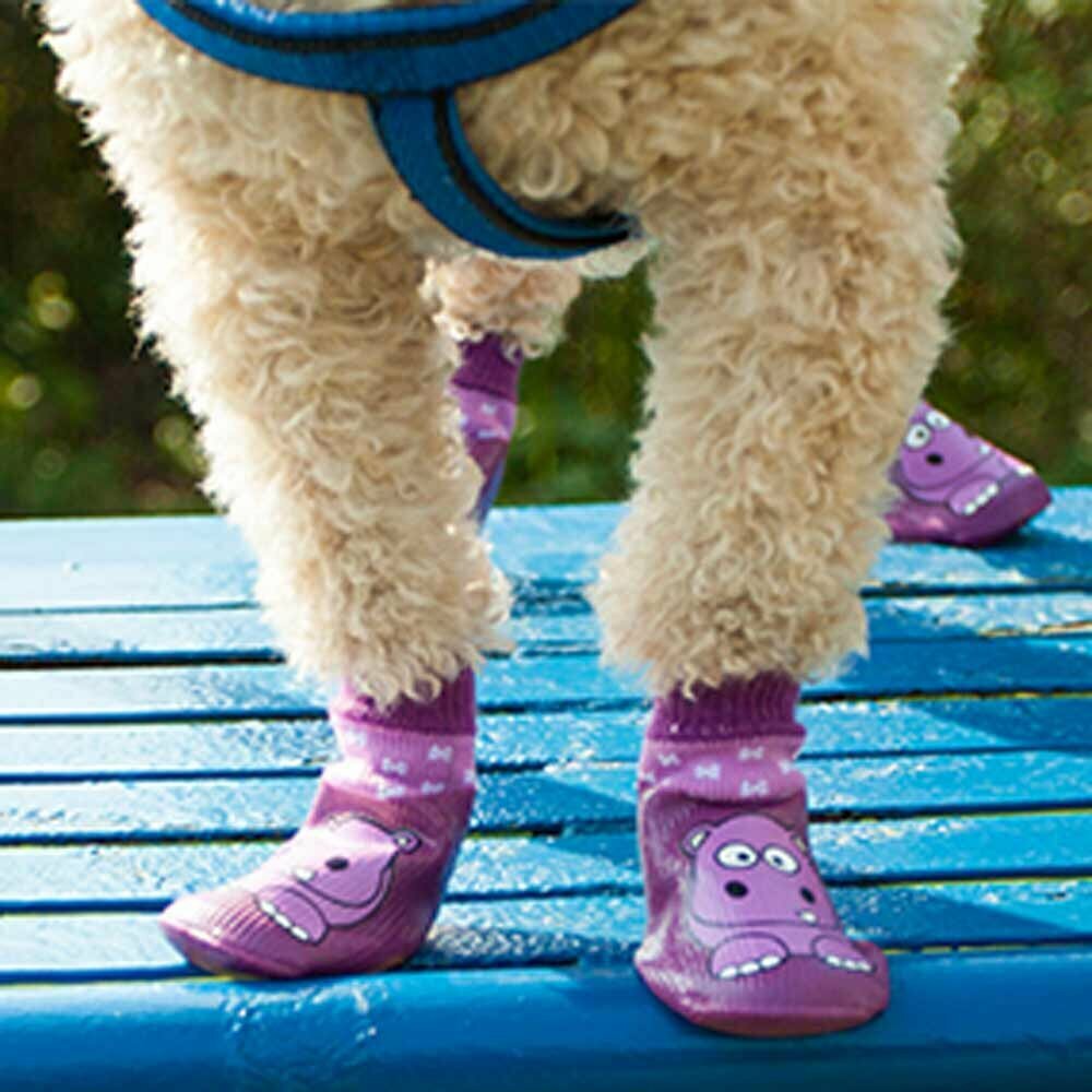 Hitro obuvanje - moderni čevlji za pse