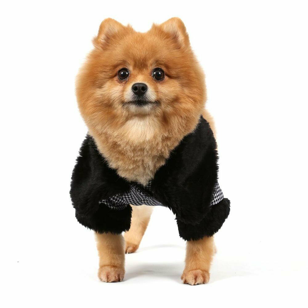  Klasik Style jakna za pse - črna