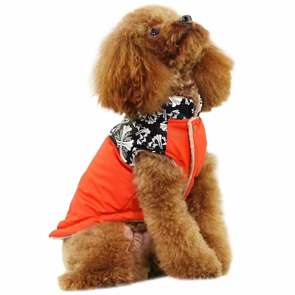 Oranžna jakna za pse "Nancy"
