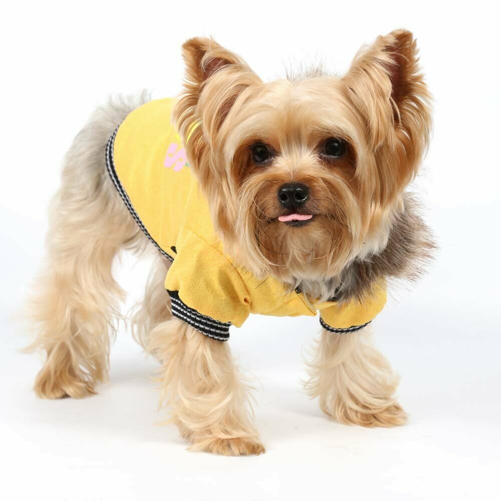 Absolutely Fabulous zlata - zimska jakna za pse -  DoggyDolly W162 - Topla oblačila za pse