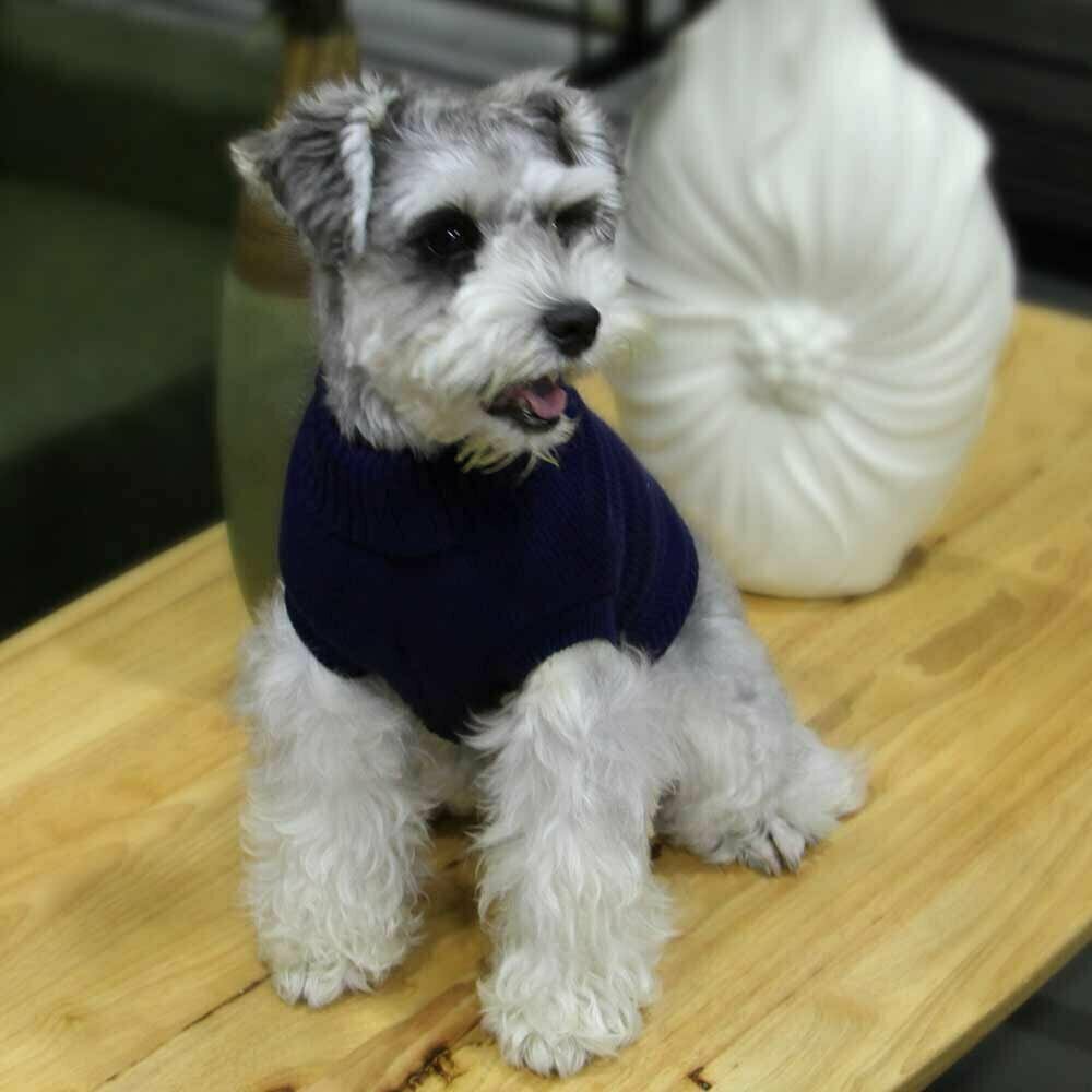 Pleten pulover za pse "Rachel" - modra barva