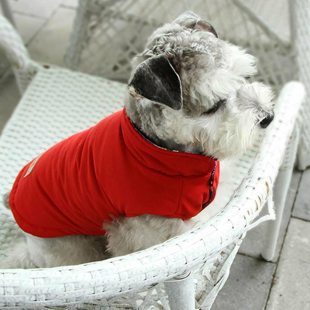 Dvostranska jakna za pse - rdeča barva, udobno nošenje