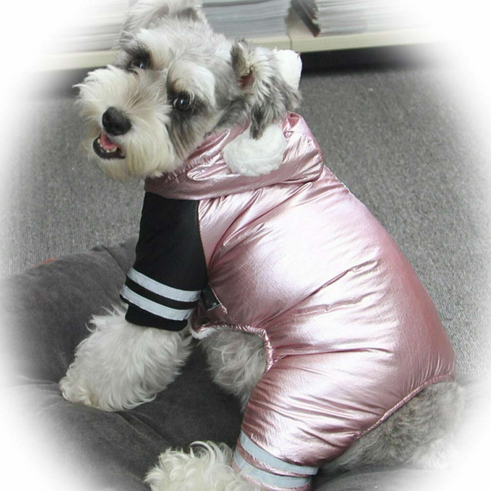 Zimsko oblačilo za psa "Gold Star" - udobno nošenje