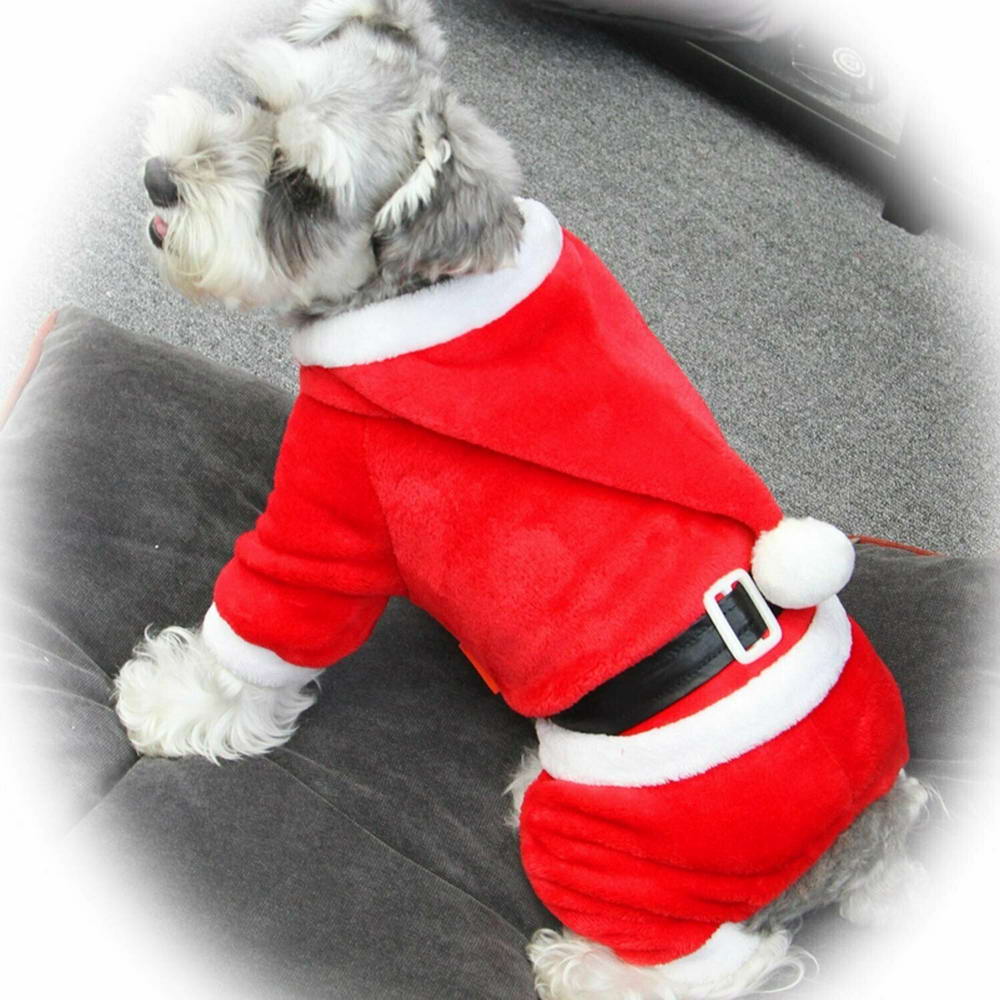 Božični plašč za psa "Boy"je izdelan v kroju na štiri tačke