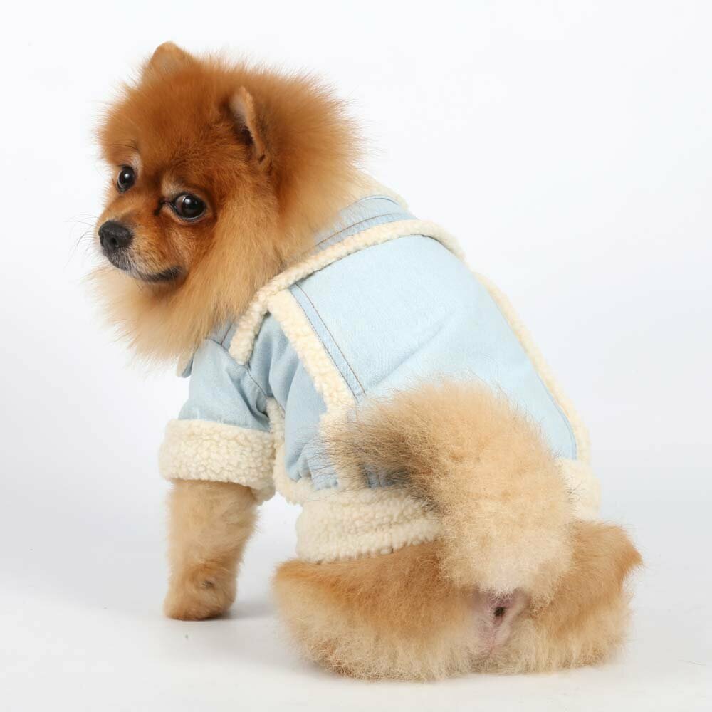 Zimska jakna za pse "Jeans" DoggyDolly oblačila za pse - DoggyDolly DF003