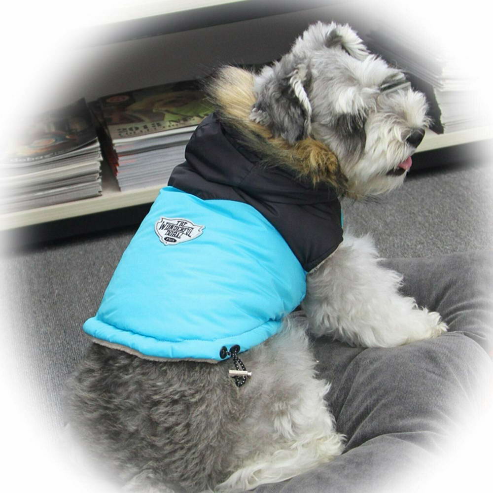 GogiPet zimsko oblačilo za psa "Giorgia" - modra barva, zatezna vrvica na hrbtnem delu
