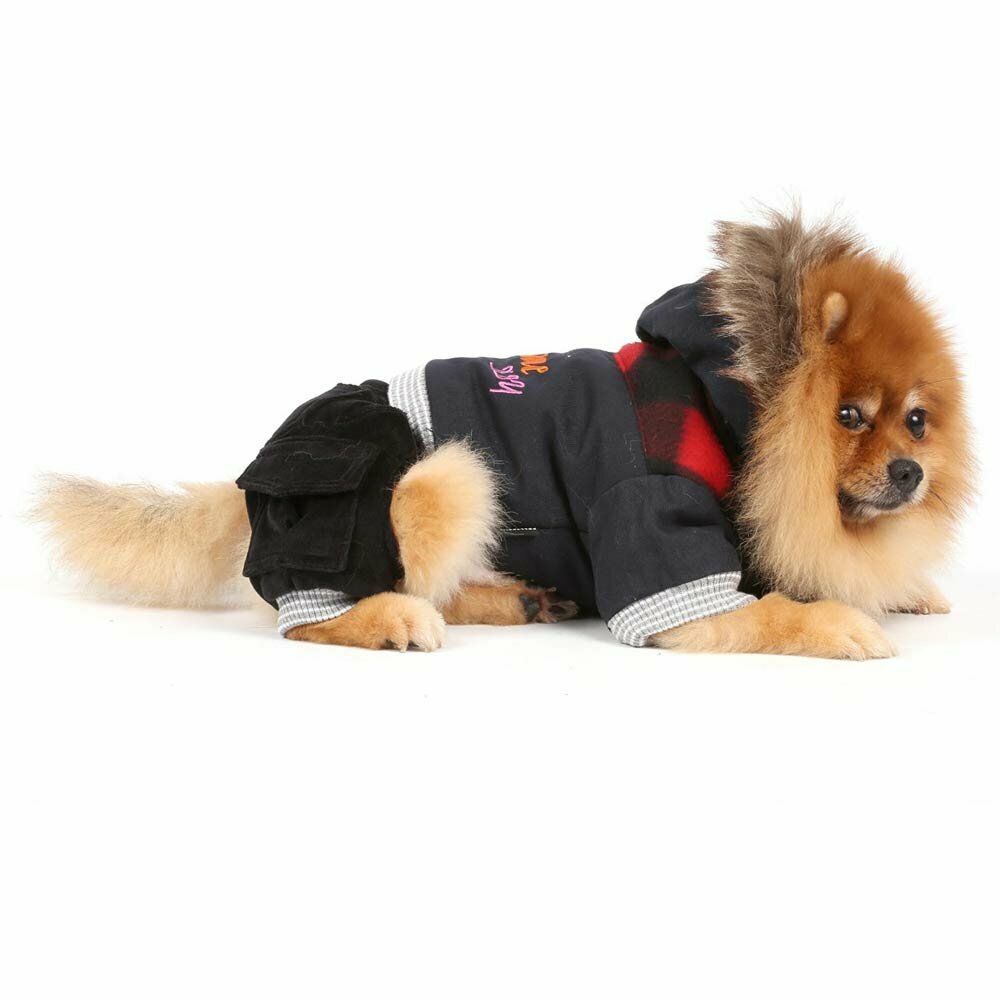 Zimski komplet za psa Awesome moder - model na 4 tačke - nDoggyDolly oblačila za pse