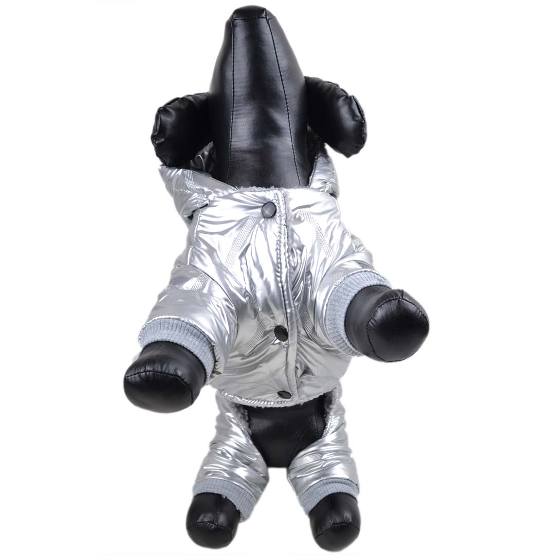 Zimski plašč za pse z zapenjanjem na kovice "Moonwalk" - srebrna barva