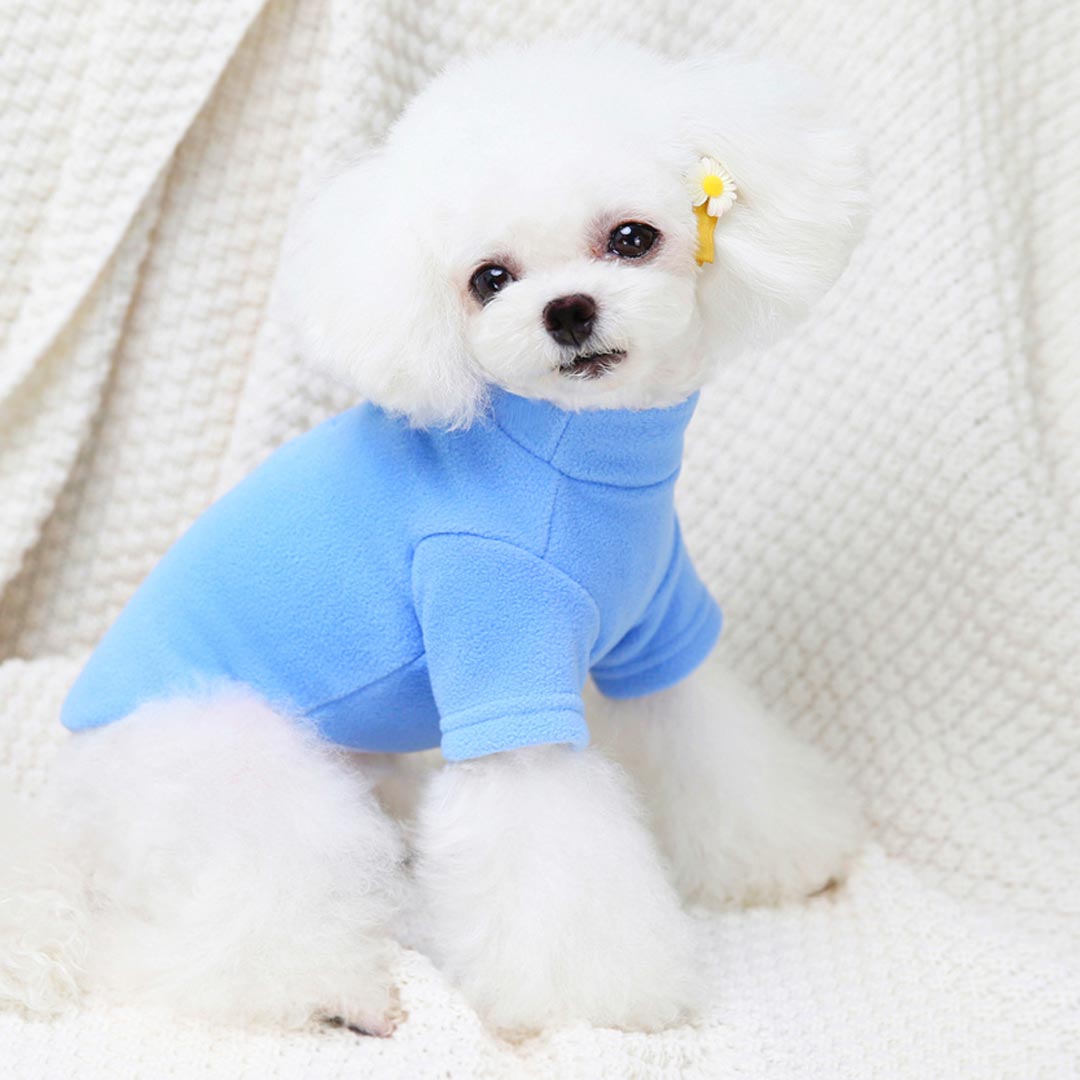 Pulover za pse "Teddy" - modra barva, ovratnik
