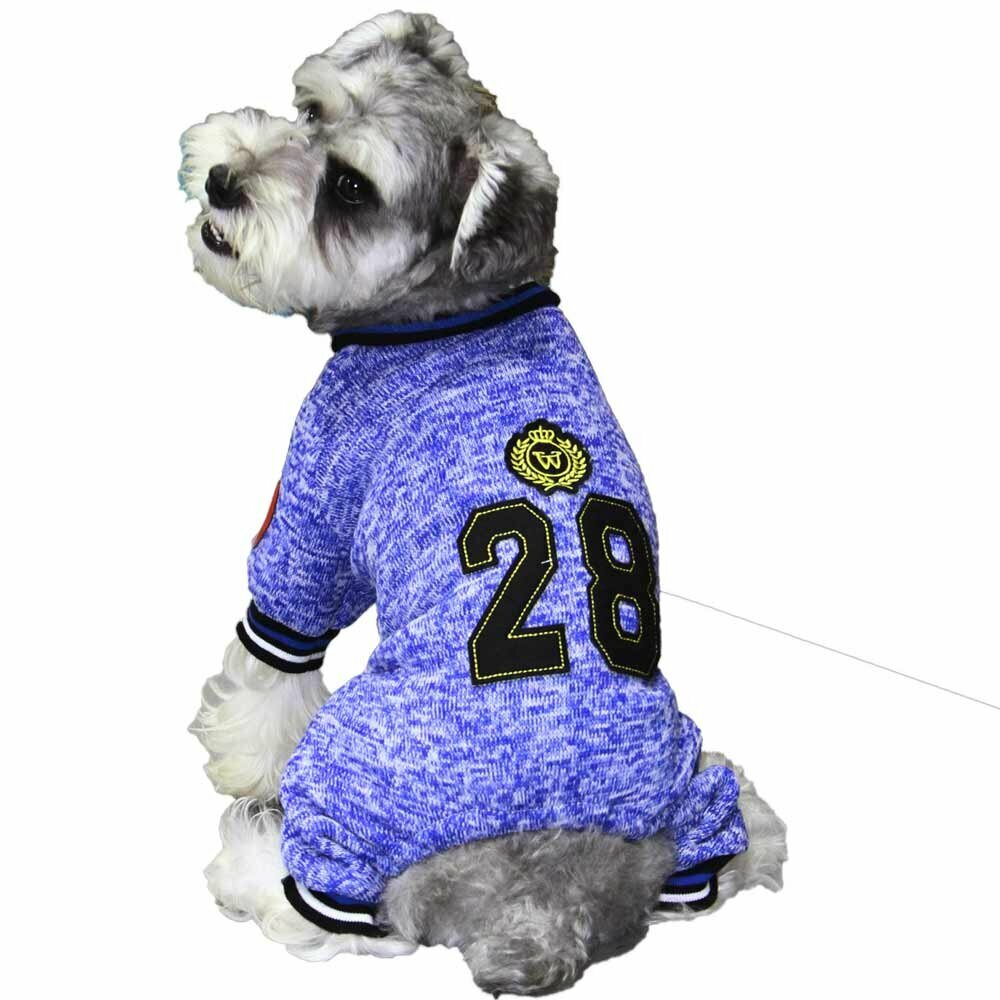 GogiPet športni komplet za psa "28" - modra barva