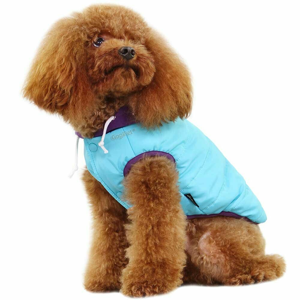 Zimska jakna za psa - svetlo modra barva