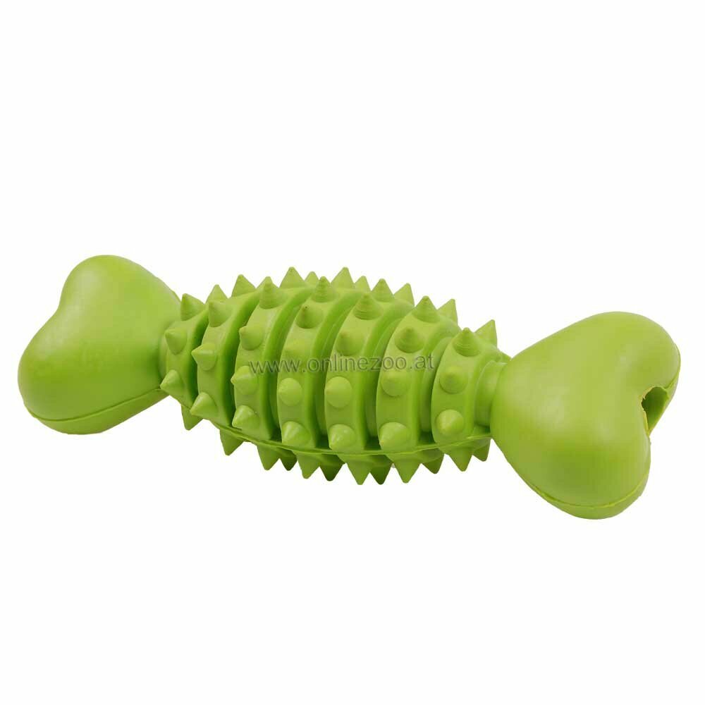 Pasja igrača za čiščenje zob "Kost" - zelena barva, dolžina 16,5 cm