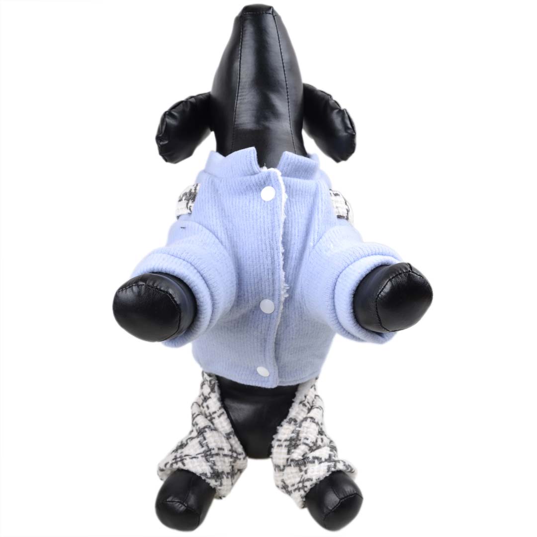 Elegantni komplet za pse "Piščanček" z zapenjanjem s kovicami - modra barva