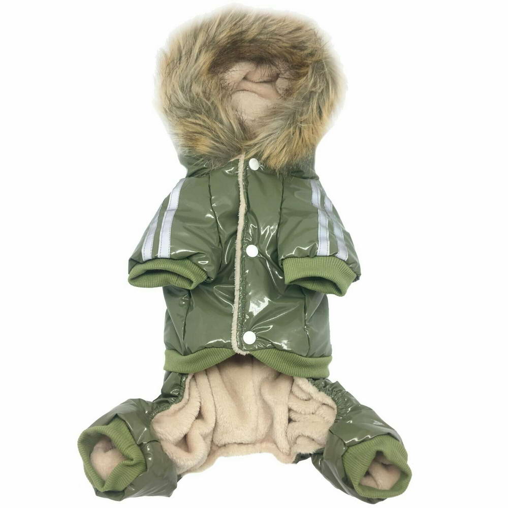 Zimsko oblačilo za psa "New York" - zelena barva, zapenjanje s kovinskimi kovicami