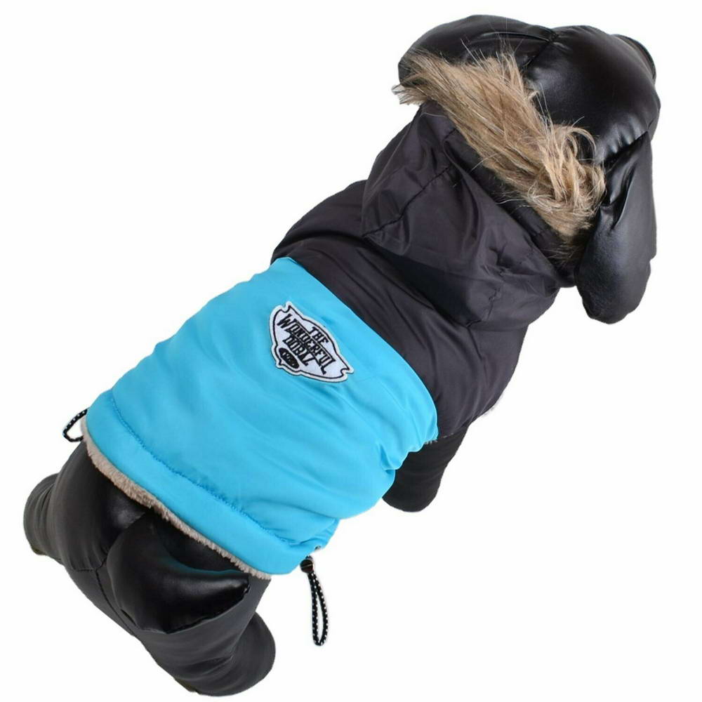 GogiPet zimsko oblačilo za psa "Giorgia" - modra barva, našitek
