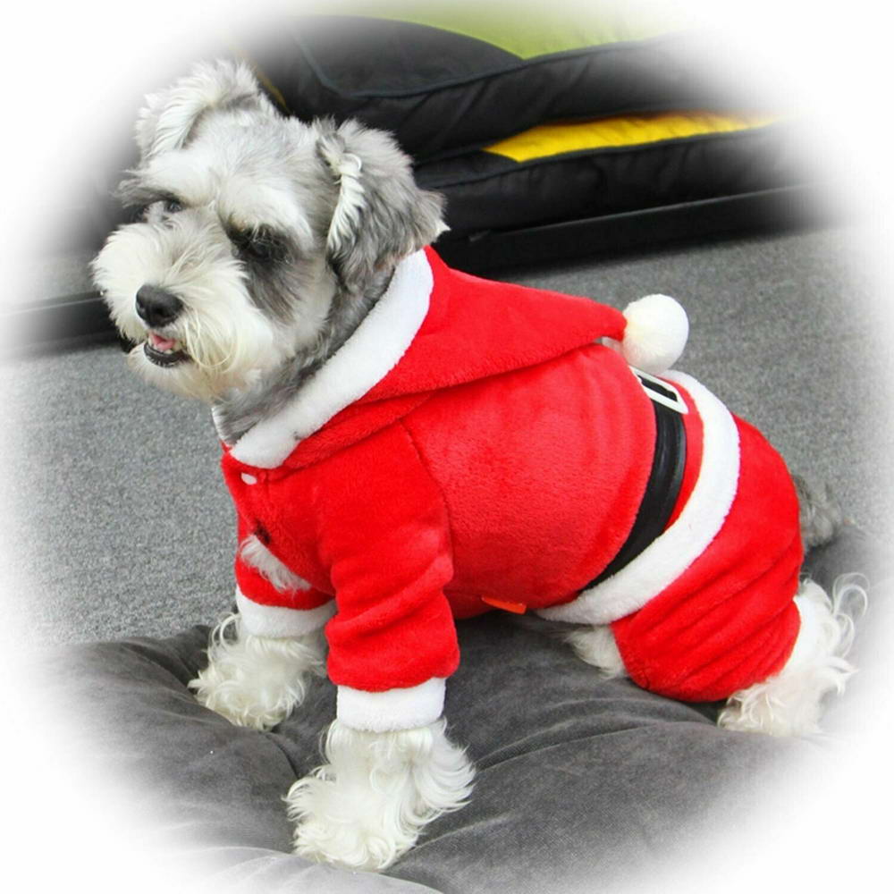 Božični plašč za psa "Boy" - oblačilo za posebne priložnosti