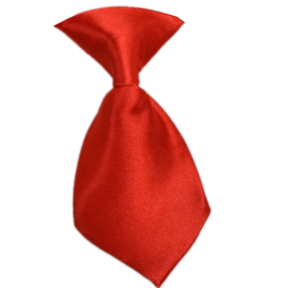 Moderna kravata za pse