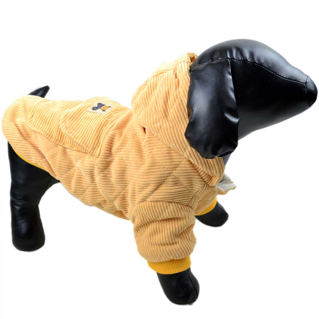 Žametna jakna za pse s kapuco - rumena barva