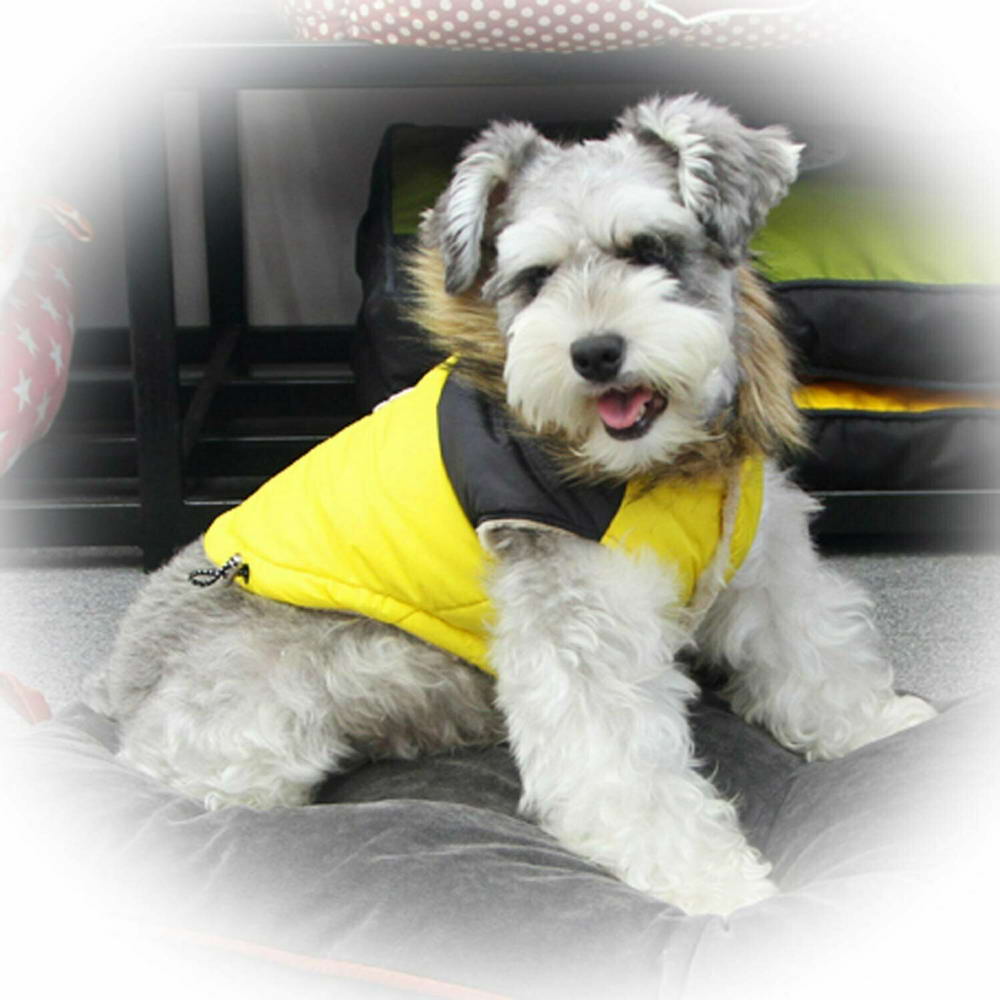 Kolekcija GogiPet - zimsko oblačilo za psa "Giorgia" - rumena barva