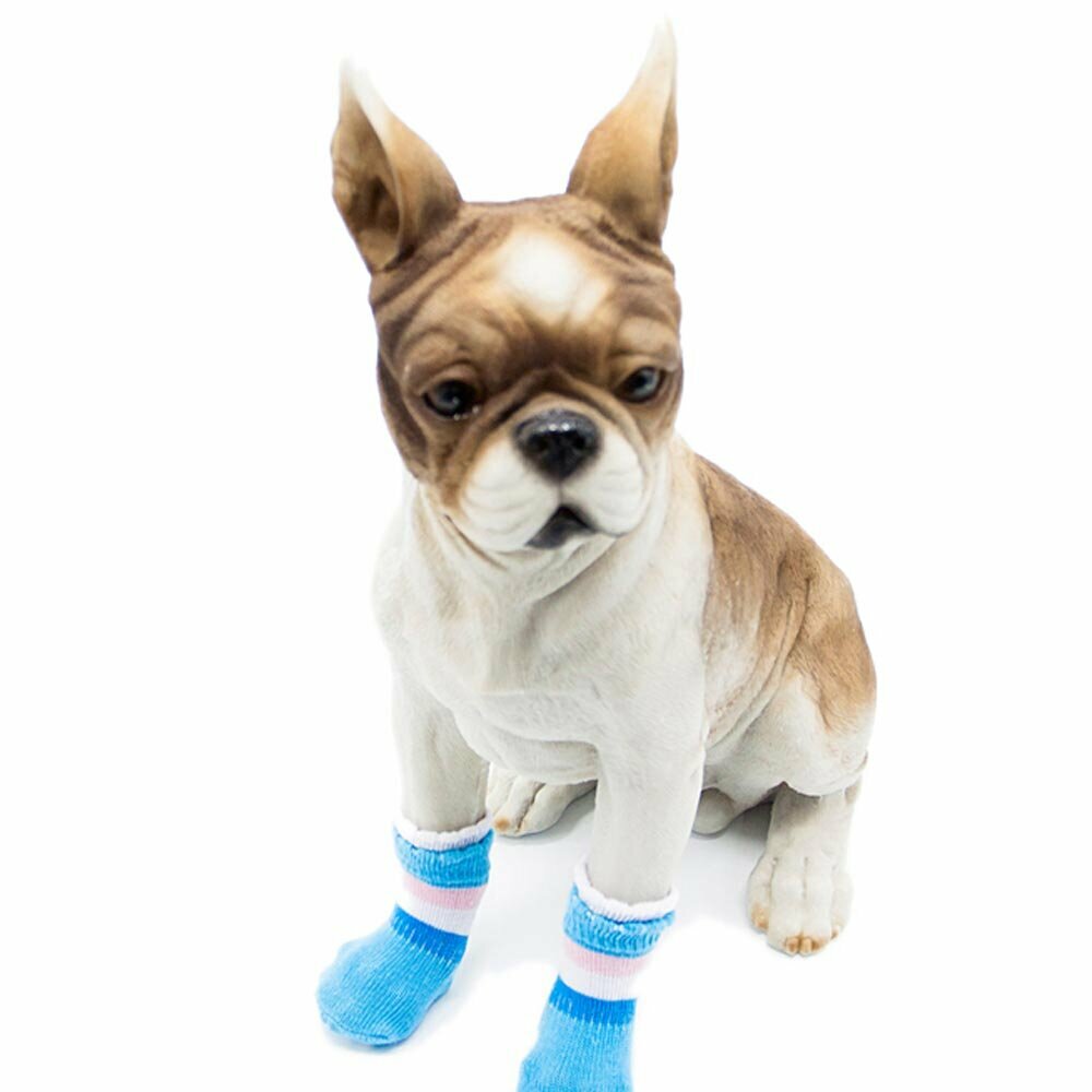 GogiPet  zaščitne nogavice za psa - svetlo modre