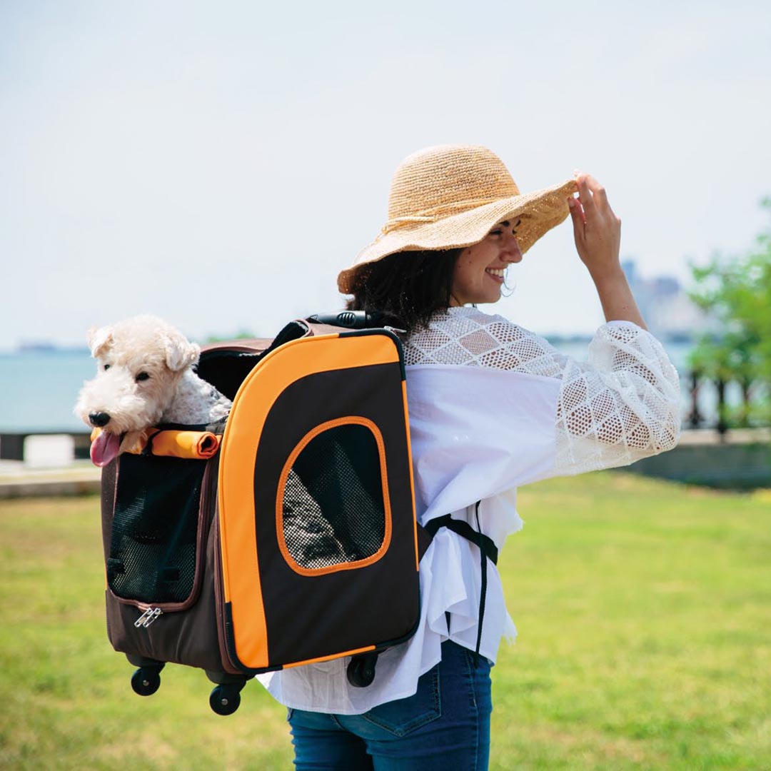 nahrbtnik in kovček s kolesi za pse "Delux Brown" - rjava barva