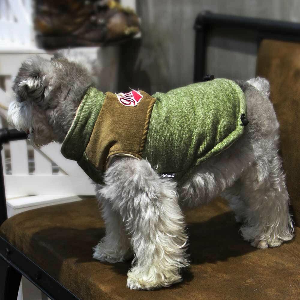 Topla jakna za pse "Celine" - zelena barva, zatezna vrvica na hrbtnem delu