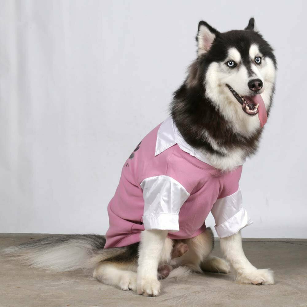 Pulover za pse velike rasti DoggyDolly - pink barva BD062