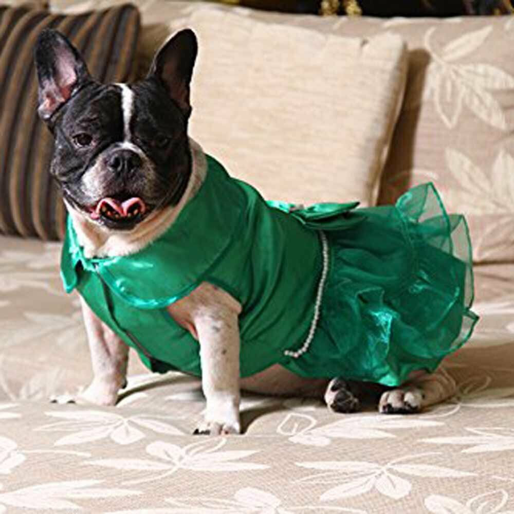 Mops luksuzna obleka Green Peral za pasje dame