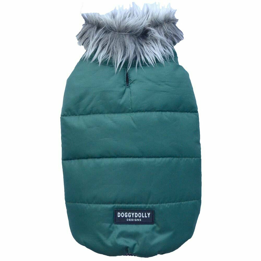 Zimska bunda za pse "Klasik" - zelena barva