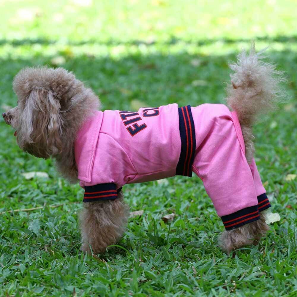 Športno oblačilo  za psa  - Komplet "Fitness Club"  -oblačila za pse 