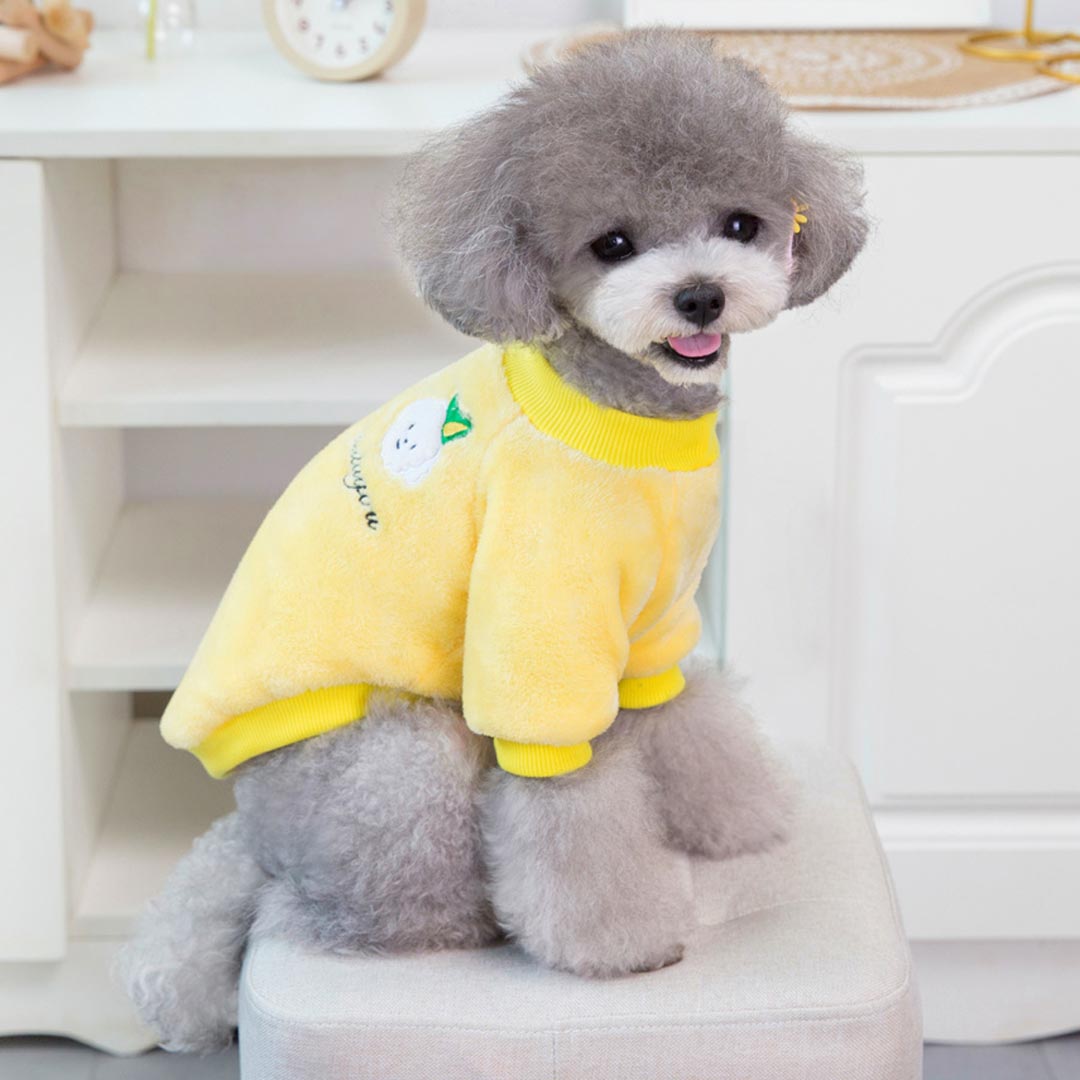 Pulover za psa - rumena barva