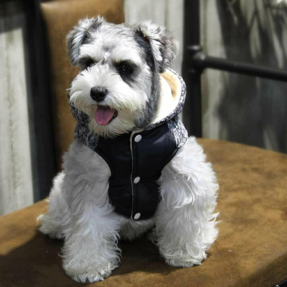 Zimski plašč za psa "Belo" - črna barva, zapenjanje s pritiskači