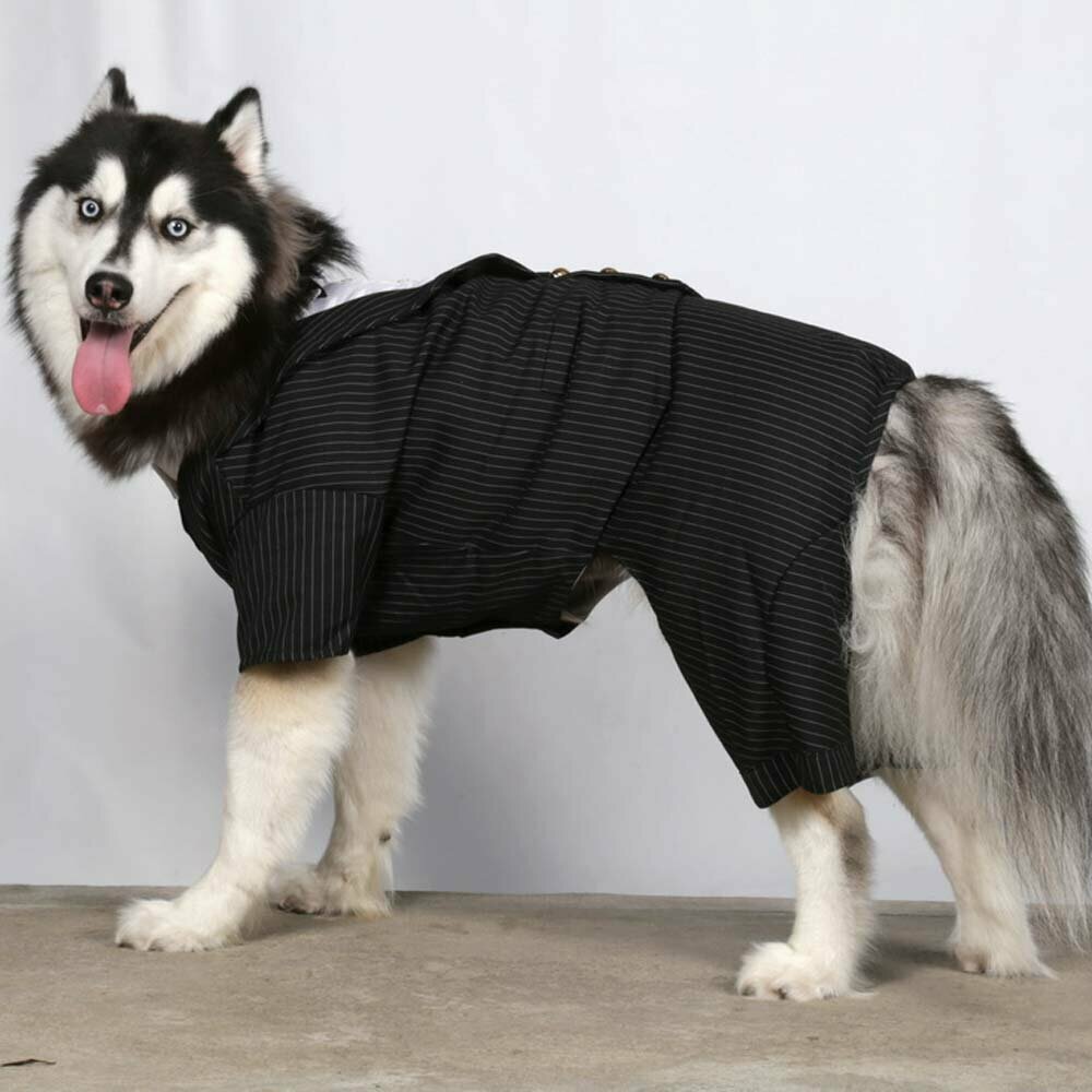 DoggyDolly BD199 Elegantna obleka za pasje gospode